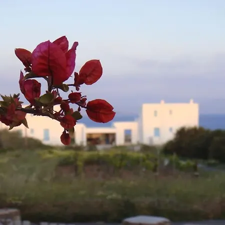 Holiday For Families And Couples Holiday home Ambelas